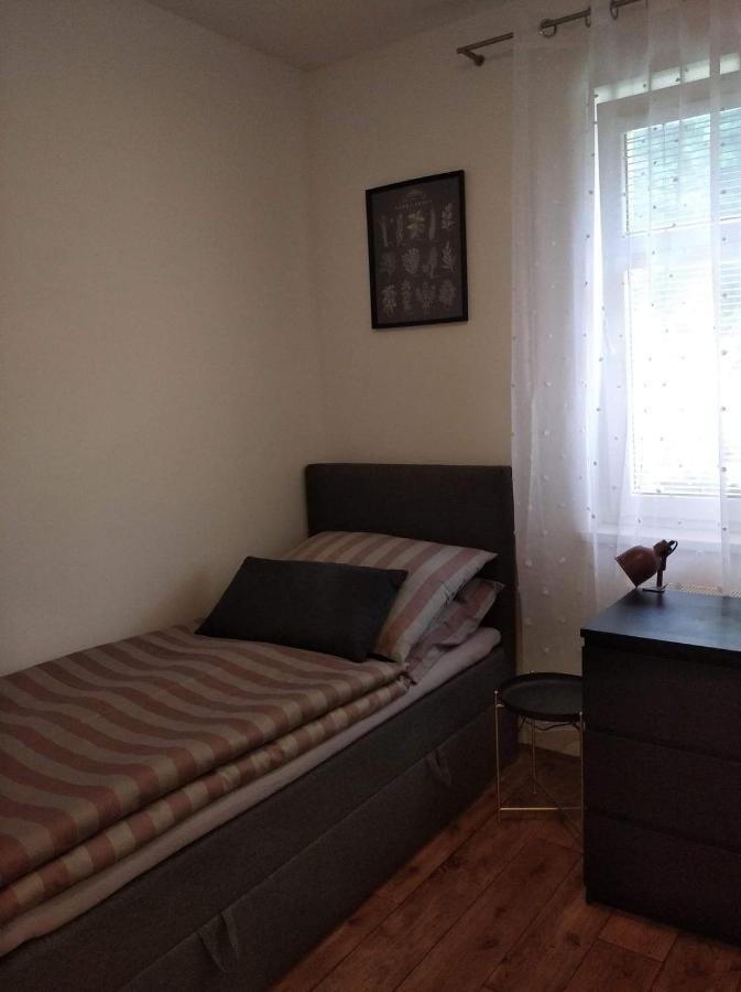 Kozel 1 Appartamento Janské Lázně Esterno foto