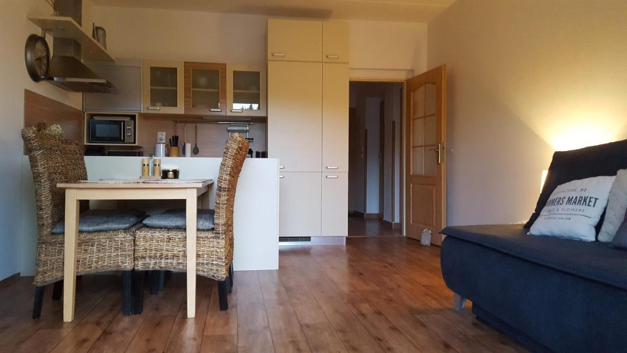 Kozel 1 Appartamento Janské Lázně Esterno foto