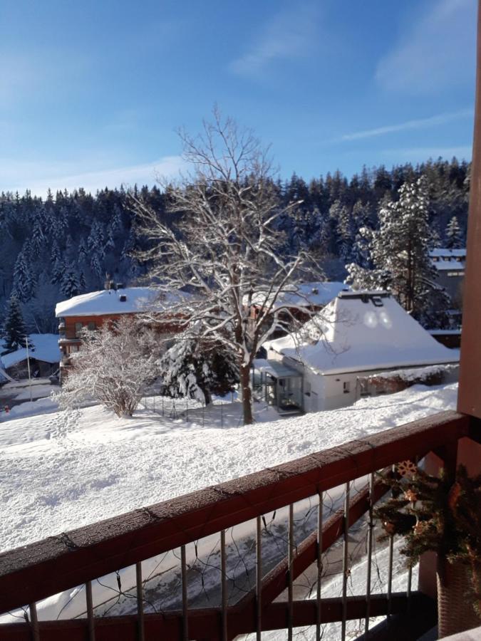 Kozel 1 Appartamento Janské Lázně Esterno foto